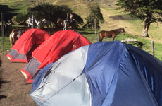 Voyage à cheval en Equateur - Randonnée équestre organisée par Randocheval