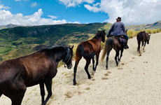 Voyage à cheval en Equateur - Randonnée équestre organisée par Randocheval