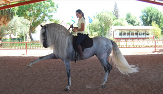 Voyage à cheval en Hongrie dans un ranch pratiquant l'équitation western - Par Randocheval