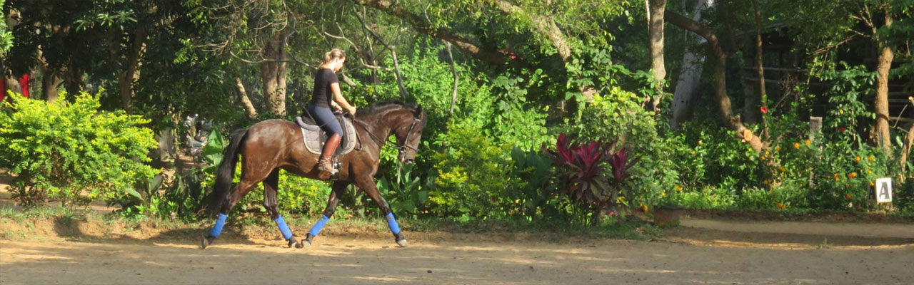 Voyage à cheval - Randonnée équestre organisée par Randocheval