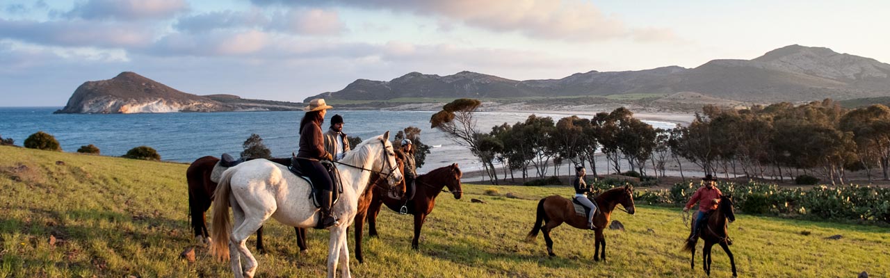 Voyage à cheval sur les plages d'Andalousie - Randonnée équestre organisée par Randocheval