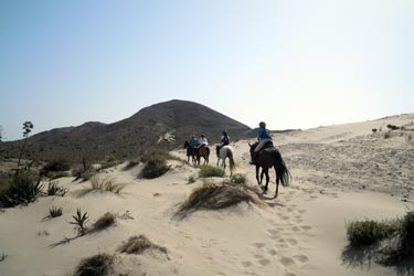 Voyage à cheval sur les plages d'Andalousie - Randonnée équestre organisée par Randocheval