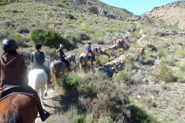 Voyage à cheval sur les plages d'Andalousie - Randonnée équestre organisée par Randocheval