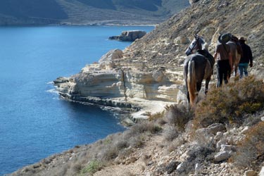 Voyage à cheval sur les plages d'Andalousie - Randonnée équestre organisée par Randocheval