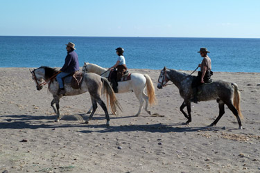 Voyage à cheval sur les plages d'Andalousie - Randonnée équestre organisée par Randocheval