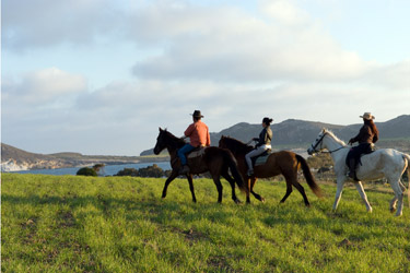 Voyage à cheval sur les plages d'Andalousie - Randonnée équestre organisée par Randocheval