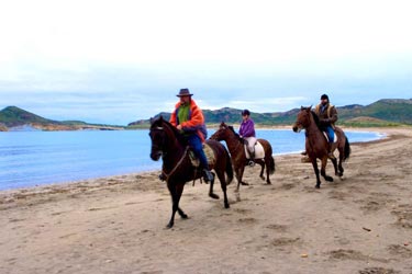 Voyage à cheval sur les plages d'Andalousie - Randonnée équestre organisée par Randocheval