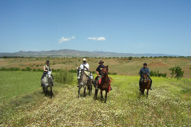 Voyage à cheval en Andalousie dans le sierra Nevada - Randonnée équestre organisée par Randocheval