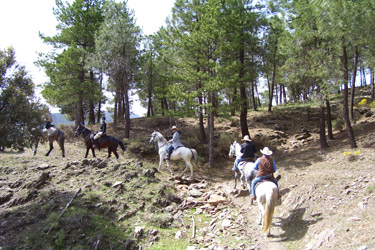 Voyage à cheval en Andalousie dans le sierra Nevada - Randonnée équestre organisée par Randocheval