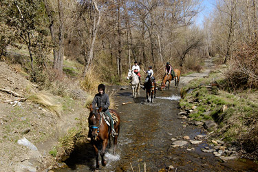 Voyage à cheval en Andalousie dans le sierra Nevada - Randonnée équestre organisée par Randocheval