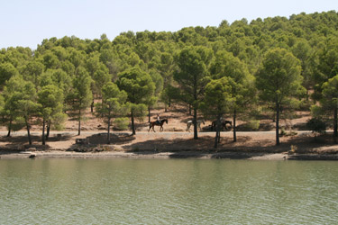 Voyage à cheval en Andalousie dans le sierra Nevada - Randonnée équestre organisée par Randocheval