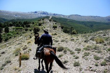 Voyage à cheval en Andalousie dans le sierra Nevada - Randonnée équestre organisée par Randocheval