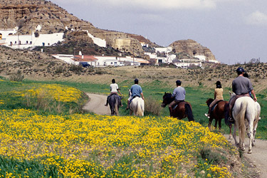 Voyage à cheval en Andalousie dans le sierra Nevada - Randonnée équestre organisée par Randocheval