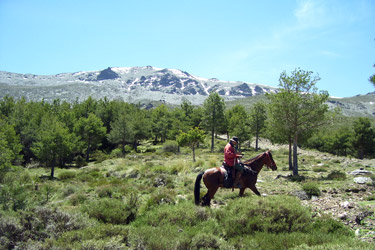 Voyage à cheval en Andalousie dans le sierra Nevada - Randonnée équestre organisée par Randocheval