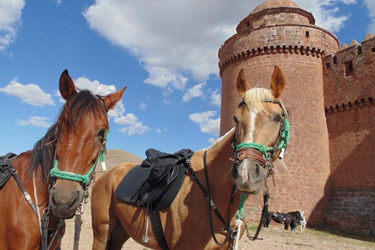 Voyage à cheval en Andalousie dans le sierra Nevada - Randonnée équestre organisée par Randocheval