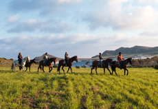 Voyage à cheval sur les plages d'Andalousie - Randonnée équestre organisée par Randocheval