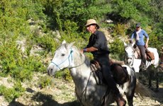 Voyage à cheval dans les Pyrénées espagnoles - Randonnée équestre organisée par Randocheval