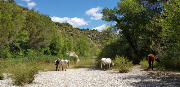 Voyage à cheval dans les Pyrénées espagnoles - Randonnée équestre organisée par Randocheval