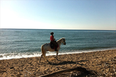 Voyage à cheval en Catalogne / Espagne - Randonnée équestre organisée par Randocheval