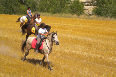 Voyage à cheval en Catalogne / Espagne - Randonnée équestre organisée par Randocheval