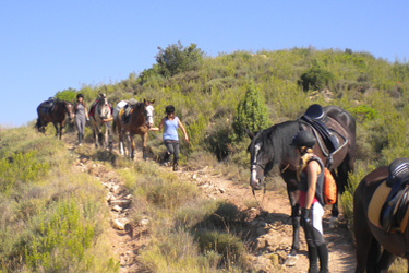 Voyage à cheval en Catalogne / Espagne - Randonnée équestre organisée par Randocheval