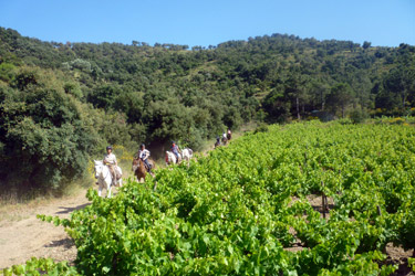 Voyage à cheval en Catalogne / Espagne - Randonnée équestre organisée par Randocheval