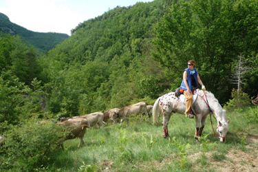 Voyage à cheval en Catalogne / Espagne - Randonnée équestre organisée par Randocheval