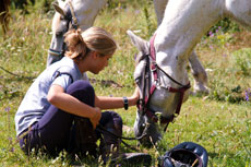 Séjour et randonnée à cheval en Catalogne - Un voyage Rando Cheval en Espagne