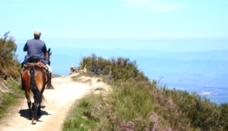 Voyage à cheval en Galice, sur le chemin de Saint Jacques - Randonnée équestre organisée par Randocheval