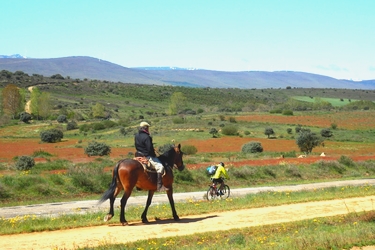 Voyage à cheval en Galice, sur le chemin de Saint Jacques - Randonnée équestre organisée par Randocheval