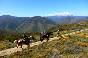 Voyage à cheval en Galice, sur le chemin de Saint Jacques - Randonnée équestre organisée par Randocheval