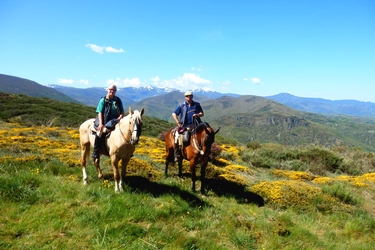 Voyage à cheval en Galice, sur le chemin de Saint Jacques - Randonnée équestre organisée par Randocheval