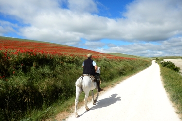 Voyage à cheval en Galice, sur le chemin de Saint Jacques - Randonnée équestre organisée par Randocheval