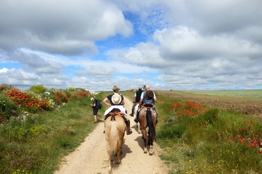 Voyage à cheval en Galice, sur le chemin de Saint Jacques - Randonnée équestre organisée par Randocheval