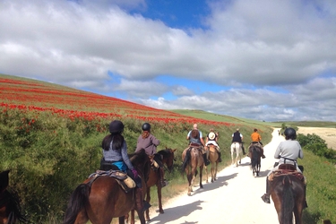 Voyage à cheval en Galice, sur le chemin de Saint Jacques - Randonnée équestre organisée par Randocheval