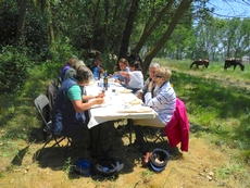 Voyage à cheval en Galice, sur le chemin de Saint Jacques - Randonnée équestre organisée par Randocheval