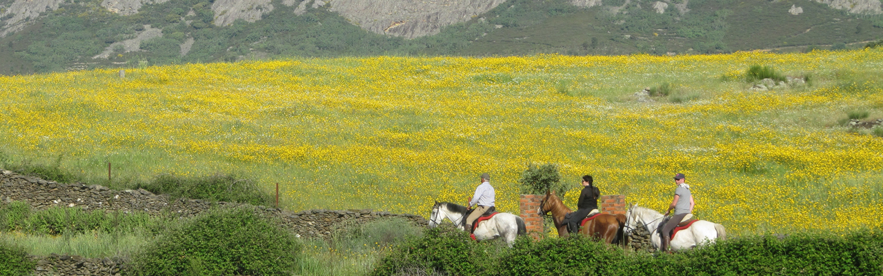 Voyage à cheval entre Espagne et Portugal - Randonnée équestre organisée par Randocheval