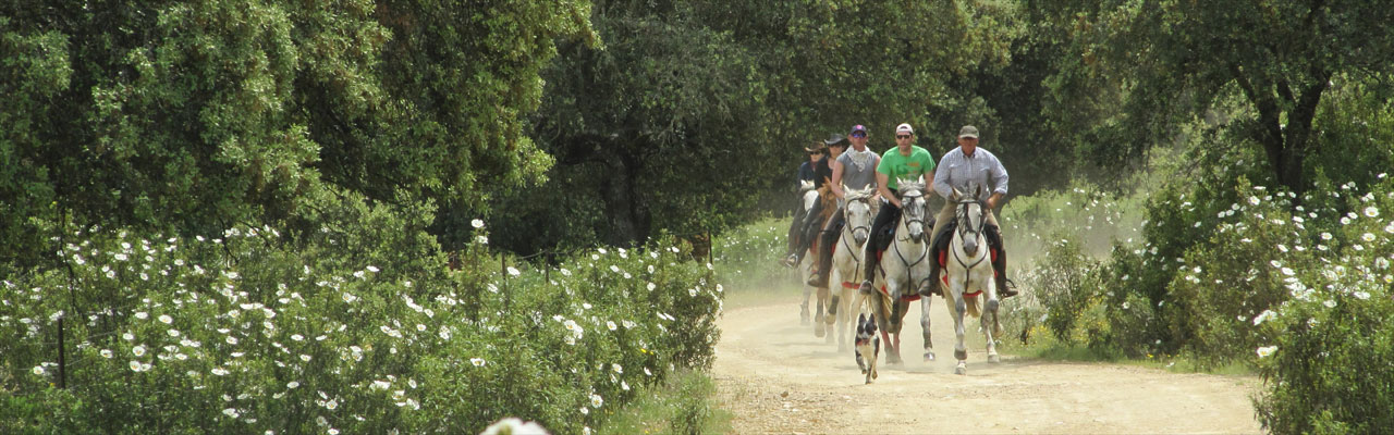 Voyage à cheval entre Espagne et Portugal - Randonnée équestre organisée par Randocheval