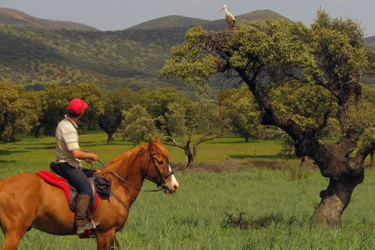 Voyage à cheval entre Espagne et Portugal - Randonnée équestre organisée par Randocheval