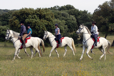 Voyage à cheval entre Espagne et Portugal - Randonnée équestre organisée par Randocheval