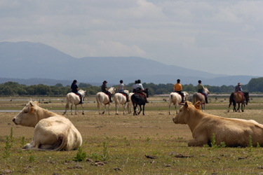 Voyage à cheval entre Espagne et Portugal - Randonnée équestre organisée par Randocheval