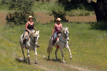 Voyage à cheval entre Espagne et Portugal - Randonnée équestre organisée par Randocheval