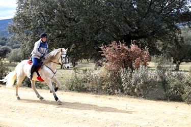 Voyage à cheval entre Espagne et Portugal - Randonnée équestre organisée par Randocheval