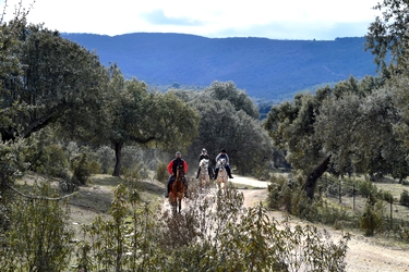 Voyage à cheval entre Espagne et Portugal - Randonnée équestre organisée par Randocheval