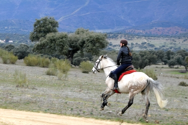 Voyage à cheval entre Espagne et Portugal - Randonnée équestre organisée par Randocheval