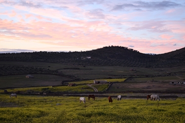 Voyage à cheval entre Espagne et Portugal - Randonnée équestre organisée par Randocheval