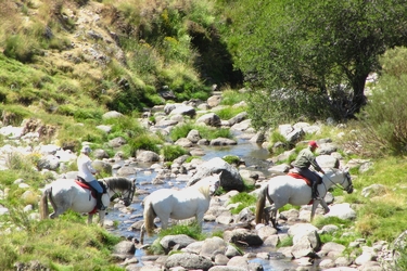 Voyage à cheval entre Espagne et Portugal - Randonnée équestre organisée par Randocheval