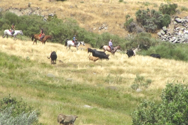 Voyage à cheval entre Espagne et Portugal - Randonnée équestre organisée par Randocheval