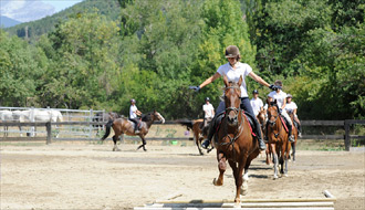 Stages et séjours linguistiques - anglais et cheval - langue (anglais, espagnol et allemand) et équitation