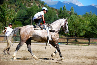 Voyage à cheval et stage linguistique - Randonnée équestre organisée par Randocheval